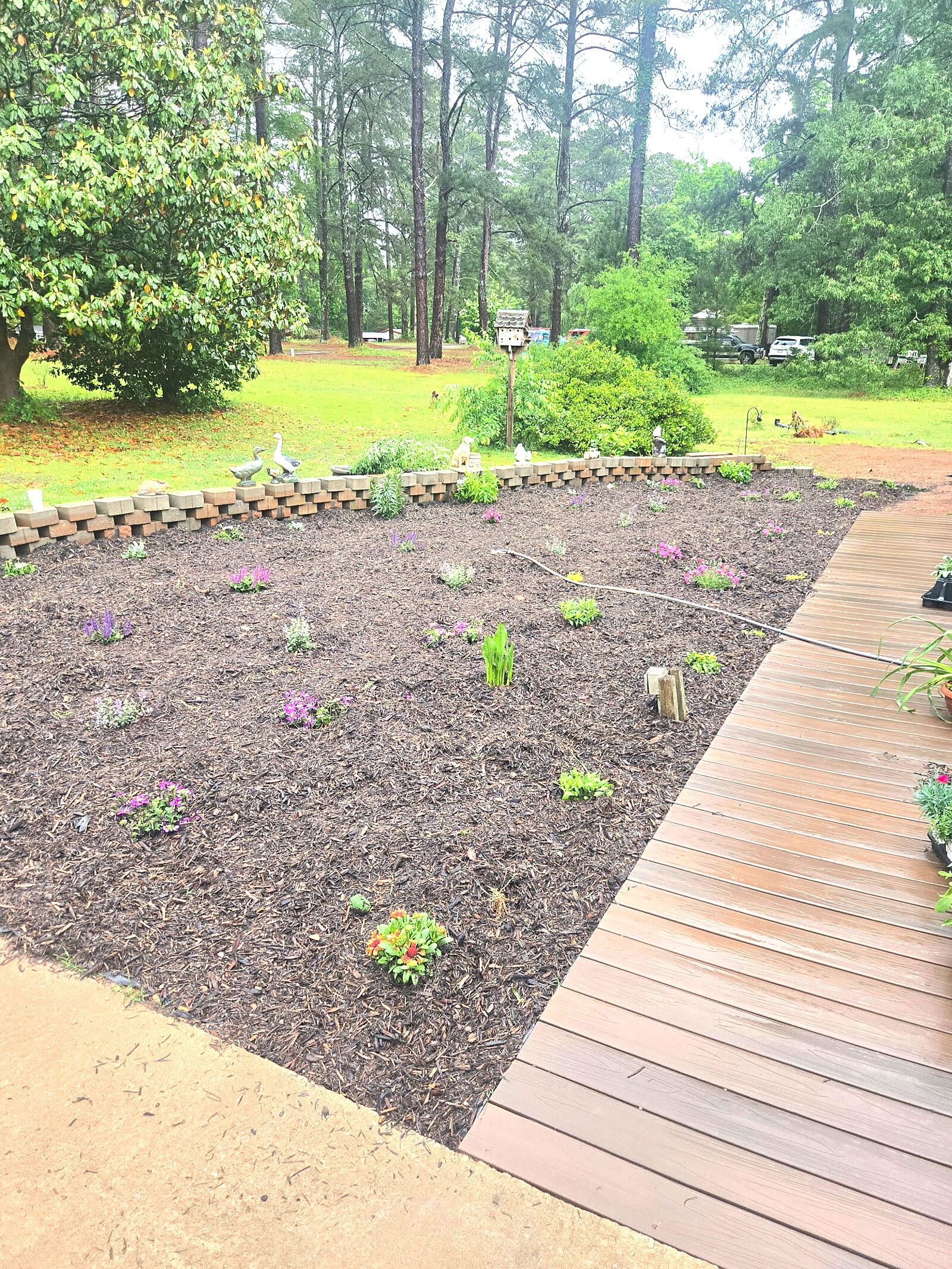 Finished flower bed with fresh mulch and planting