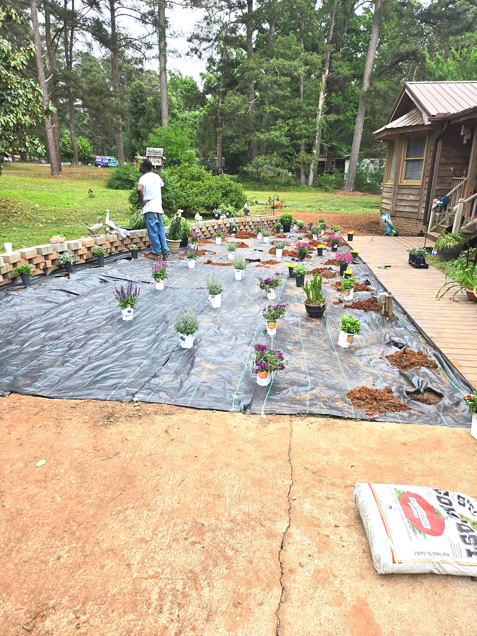 LawnSkapers landscaping work in progress — weed barrier laid and plants staged