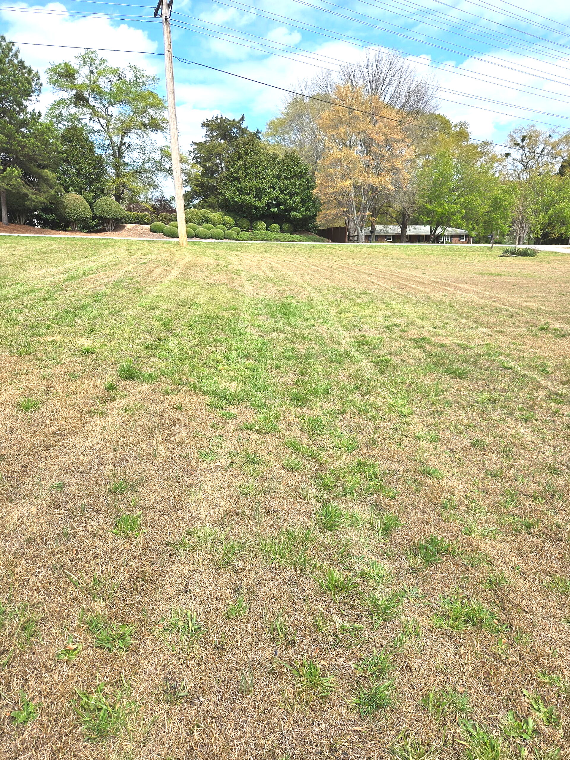 Crisp mow lines across a large Upstate lot