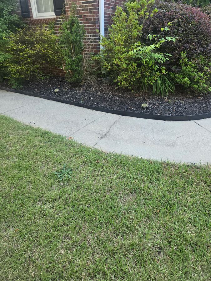 Crisp black-mulch bed with shrubs along a brick foundation — the perimeter zone LawnSkapers treats first