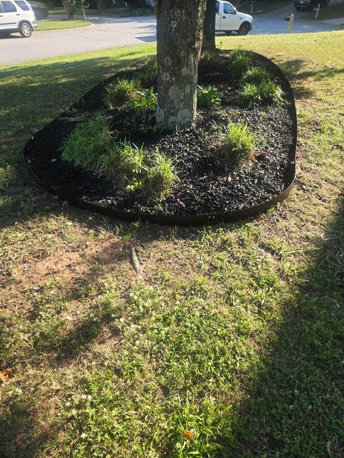 Tree ring with fresh black mulch and ornamental grasses — the detail craftsmanship that comes with LawnSkapers property care