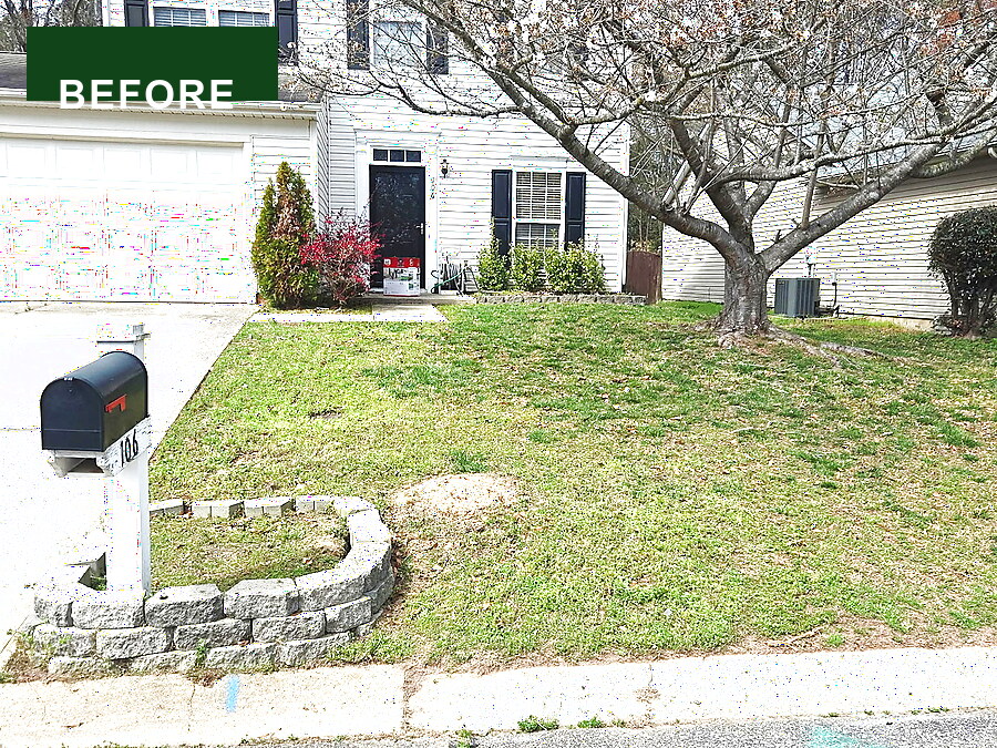 Overgrown front yard before lawn care