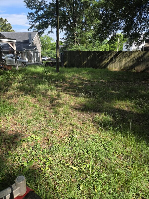 Overgrown yard along fence line before lawn maintenance in Greenville, SC